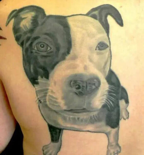 Tattoo of Dog